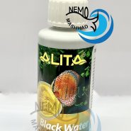 ALITA BLACK WATER مشهد نمو