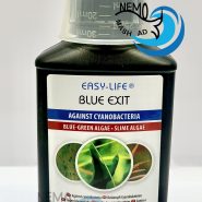 easy-life blue exit مشهدنمو